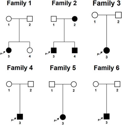 Case report: Gene mutation analysis and skin imaging of isolated café-au-lait macules